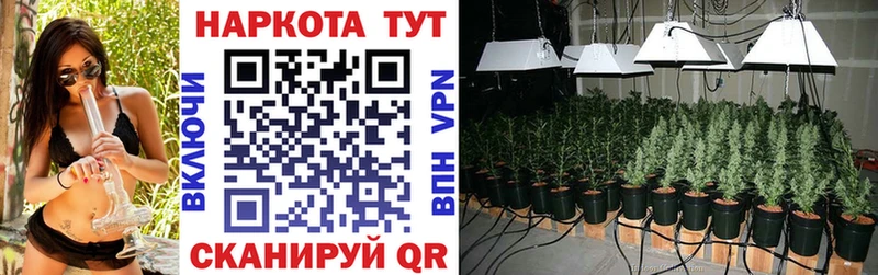 Как найти наркотики Неман A PVP  МЕФ  АМФ  ГАШ 